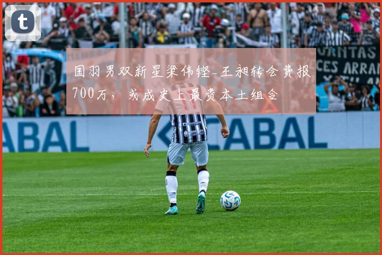 国羽男双新星梁伟铿_王昶转会费报700万，或成史上最贵本土组合